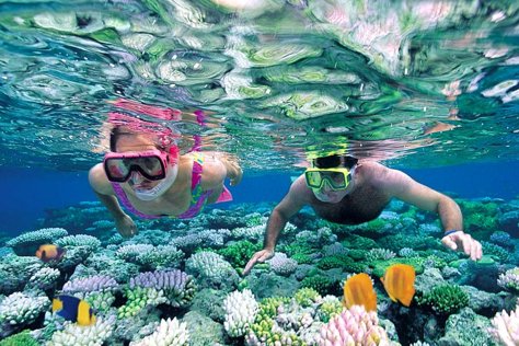 Isla Cozumel: Snorkel en 3 Arrecifes